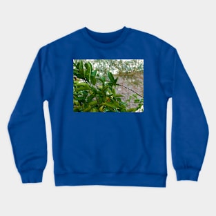 After the rain Crewneck Sweatshirt